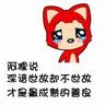 猫头鹰在南京热中暑